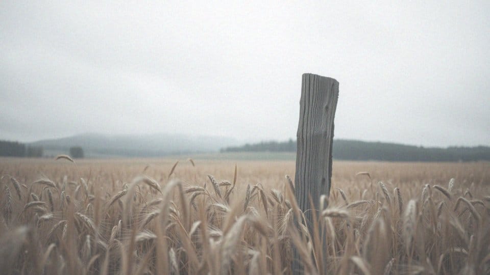 Które znaki są uznawane za najsłabsze psychicznie?