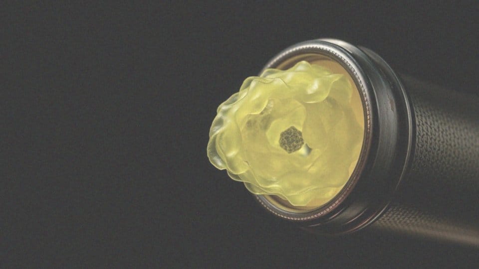 Jaką rolę odgrywa biofilm w zakażeniach gronkowcowych?