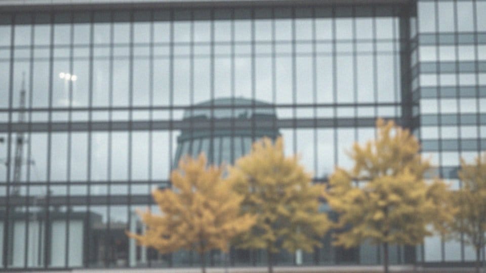 Ile zarabia dyrektor? Wynagrodzenia i różnice w sektorach