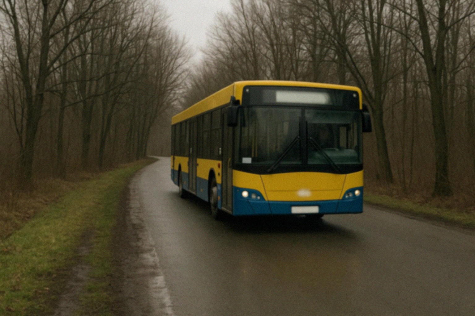 Zmiany cen biletów komunikacji miejskiej w Nowej Soli