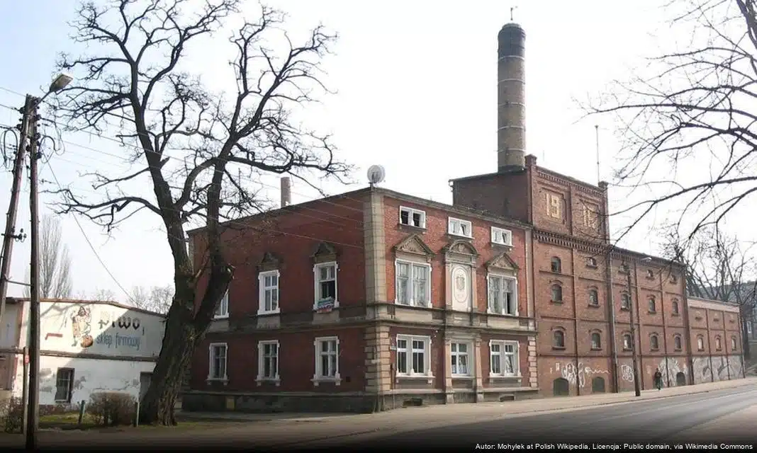 Nowa Sól w rytmie biegu: sukcesy i wyzwania klubu lekkoatletycznego