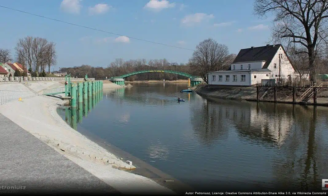 Artystka Ilona Sawicka z Nowej Soli wciąż tworzy z pasją w Oslo