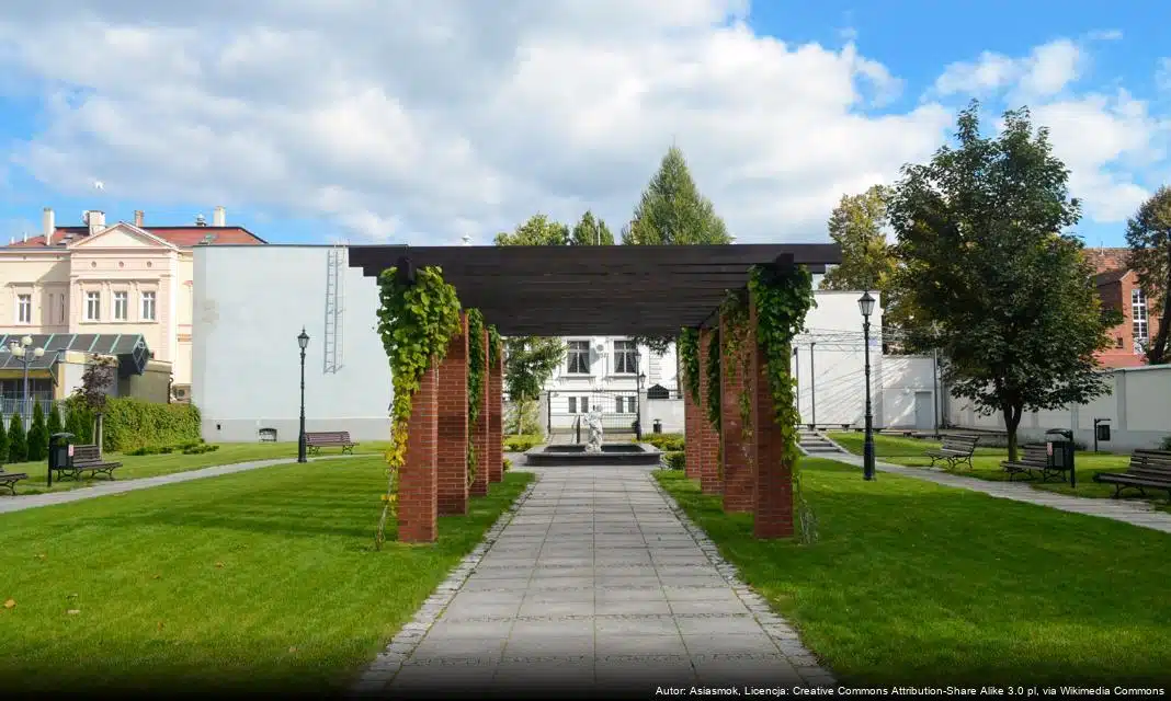 Prowadzenie naboru dofinansowania na zakup samochodów dla osób z niepełnosprawnością